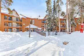 Buffalo Village Silverthorne